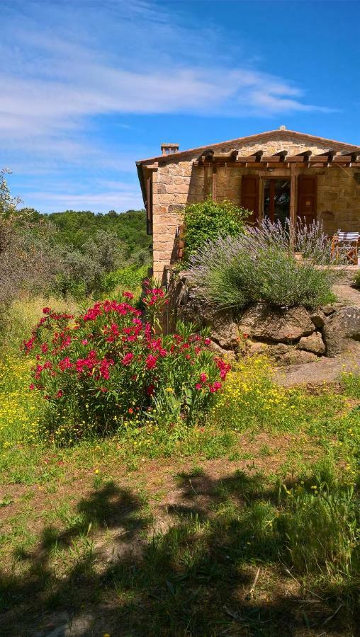 Arnaio Al Giglio Villa Roccastrada Exterior photo